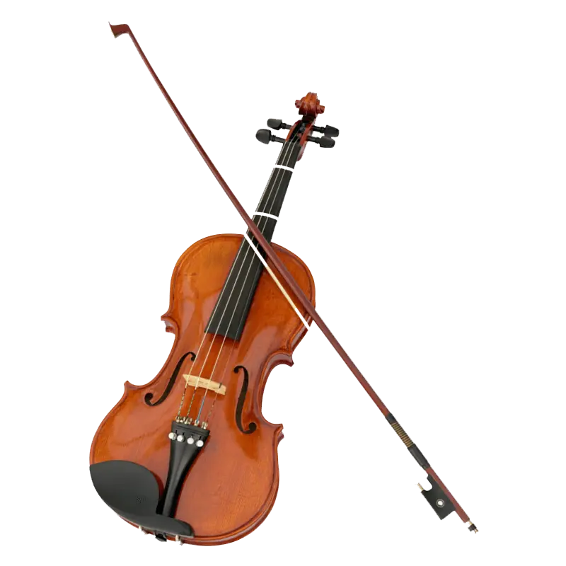 Violon de Concert